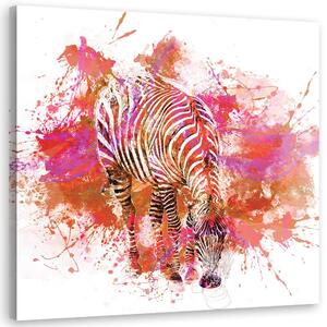 Gario Vászonkép Színesen festett zebra - Andrea Haase Méret: 30 x 30 cm