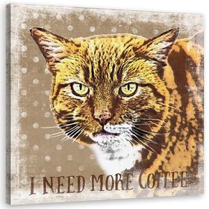 Gario Vászonkép Vörös macska - Andrea Haase Méret: 30 x 30 cm