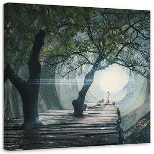 Gario Vászonkép Híd egy barlangban - Zehem Chong Méret: 30 x 30 cm