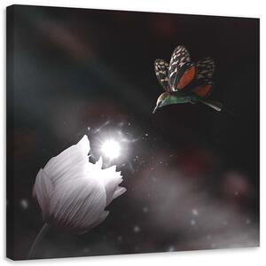 Gario Vászonkép Kolibri és mágikus virág - Zehem Chong Méret: 30 x 30 cm