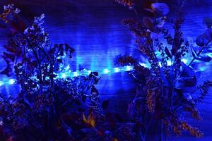 NEXOS Fénykábel 240 LED Kék 10 m