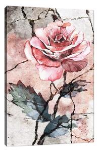 Rose vászonkép, 40 x 60 cm - Tablo Center