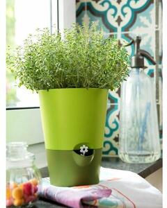 Emsa önöntöző virágtartó kaspó Fresh herbs, világosszürke, átmérő: 13 cm