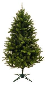 Karácsonyfa - Vad Lucfenyő 220cm