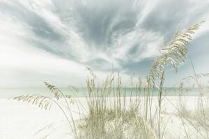 Fotográfia Heavenly calmness on the beach | Vintage, Melanie Viola, (40 x 26.7 cm)