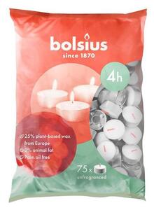 Gyertya Bolsius, teamécses, 4 óra, fehér, csomag 75 db