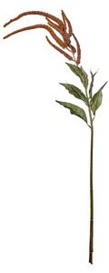 FLORISTA köles virág 110 cm ,barna