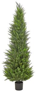 Műnövény CEDAR TREE 153 cm Zöld