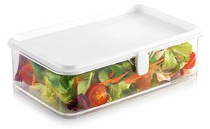 Tescoma Purity Egészséges hűtőszekrény doboz 22 x 14 cm
