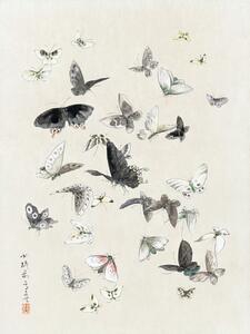 Festmény reprodukció Butterflies & Moths (1 of 2) - Katsushika Hokusai, (30 x 40 cm)
