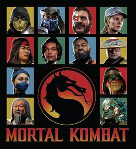 Művészi plakát Mortal Kombat - Characters, (26.7 x 40 cm)