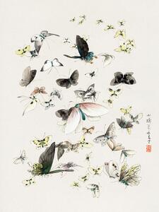 Reprodukció Butterflies & Moths (2 of 2) - Katsushika Hokusai, (30 x 40 cm)