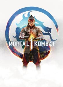 Művészi plakát Mortal Kombat - Poster, (26.7 x 40 cm)