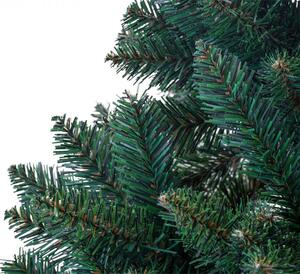 Karácsonyfa - Oszlopos Lucfenyő 180cm