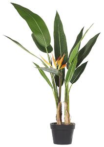 Műnövény STRELITZIA TREE 115 cm Zöld