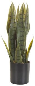Műnövény SNAKE PLANT 40 cm Zöld