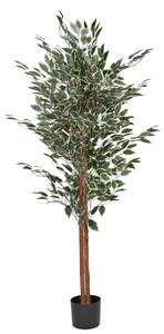 Műnövény FICUS 167 cm Zöld