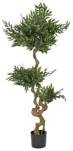 Műnövény RUSCUS TREE 166 cm Zöld