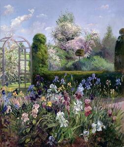 Timothy Easton - Reprodukció Irises in the Formal Gardens, 1993, (35 x 40 cm)