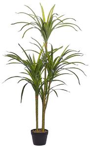 Műnövény DRACAENA ANITA 147 cm Zöld