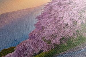 Kép látvínyos Japán ország