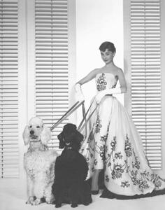 Művészeti fotózás Audrey Hepburn, (30 x 40 cm)