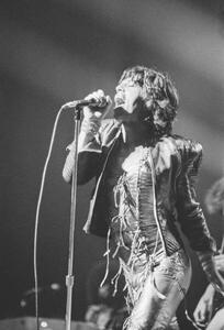 Fotográfia Rolling Stones, 1973, (26.7 x 40 cm)