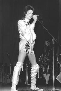 Művészeti fotózás David Bowie on Stage (Ziggy Stardust Tour) 1973, (26.7 x 40 cm)