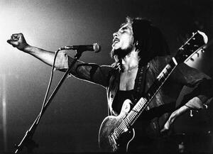 Fotográfia Bob Marley, (40 x 30 cm)