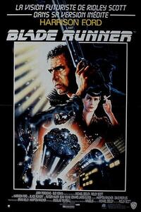 Művészeti fotózás Blade Runner, (26.7 x 40 cm)