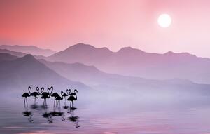 Művészeti fotózás Flamingos Sunset, Bess Hamiti, (40 x 24.6 cm)