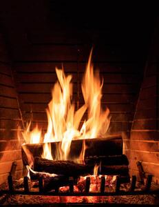 Fotográfia Fireplace burning wood logs, cozy warm home christmas time, Rawf8, (30 x 40 cm)