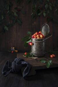 Művészeti fotózás Yellow cherries, Diana Popescu, (26.7 x 40 cm)
