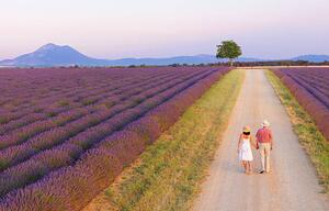 Művészeti fotózás Couple walking on roadway between lavender fields, Shaun Egan, (40 x 24.6 cm)