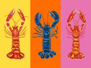 Illusztráció Lobster Langoustines Pop Art 3, Alice Straker, (40 x 30 cm)