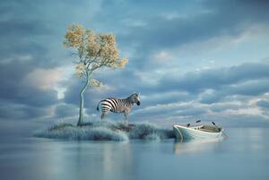 Művészi plakát Surreal image of a zebra on, Orla, (40 x 26.7 cm)