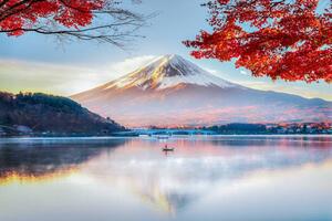 Művészeti fotózás Fuji Mountain , Red Maple Tree, DoctorEgg, (40 x 26.7 cm)