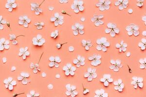 Művészeti fotózás Beautiful floral wallpaper., Anna Efetova, (40 x 26.7 cm)