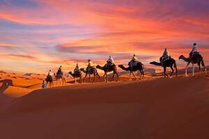 Művészeti fotózás Camel caravan going through the Sahara, Nisangha, (40 x 26.7 cm)