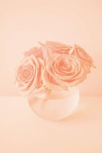 Művészeti fotózás Roses in the color of 2024 year Peach Fuzz, Anna Blazhuk, (26.7 x 40 cm)