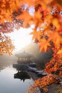 Művészeti fotózás Beautiful Autumn scene of Naejangsan national, Twenty47studio, (26.7 x 40 cm)