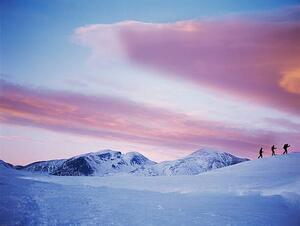 Fotográfia Group Snowshoeing in Snow, David Trood, (40 x 30 cm)