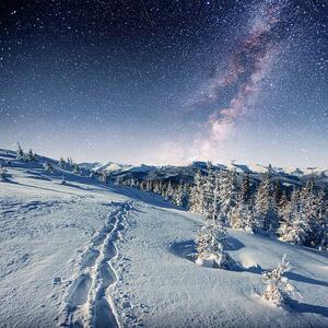 Fotográfia starry sky in winter snowy night., standret, (40 x 40 cm)