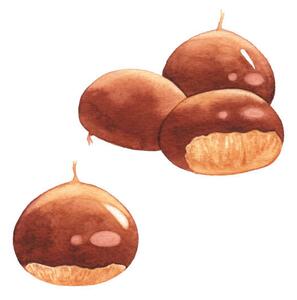 Művészeti fotózás Watercolor Chestnuts, saemilee, (40 x 40 cm)