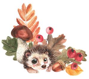 Művészeti fotózás Corner composition of hedgehog, mushrooms, falling, Tatyana Apt, (40 x 40 cm)