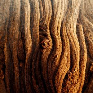 Művészeti fotózás Image Of Tree Bark Texture, Nenov, (40 x 40 cm)