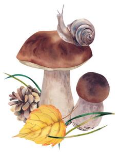 Művészeti fotózás Porcini mushrooms with autumn leaves, snail, Marina Skryzhova, (40 x 40 cm)