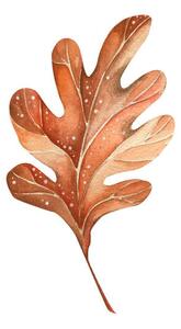 Művészeti fotózás A beautiful autumn watercolor oak leaf, Lidiia Biktimirova, (40 x 40 cm)