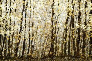Illusztráció Forest filed with golden autumn leaves, Andrew Bret Wallis