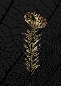 Illusztráció Minimalist botanical illustration. Golden outline of, Elena Makarova, (30 x 40 cm)